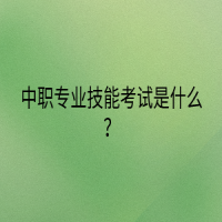 中職專業(yè)技能考試是什么？