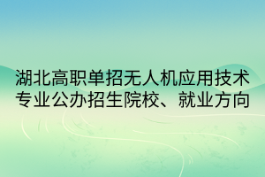 湖北高職單招無人機應用技術專業(yè)公辦招生院校、就業(yè)方向