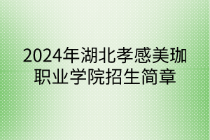 2024年湖北孝感美珈職業(yè)學(xué)院招生簡章