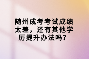 隨州成考考試成績太差，還有其他學(xué)歷提升辦法嗎？