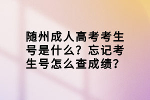 隨州成人高考考生號(hào)是什么？忘記考生號(hào)怎么查成績？