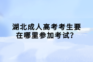 湖北成人高考考生要在哪里參加考試？
