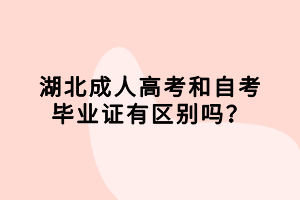 湖北成人高考和自考畢業(yè)證有區(qū)別嗎？