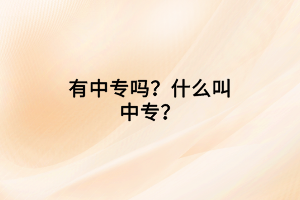 有中專嗎？什么叫中專？