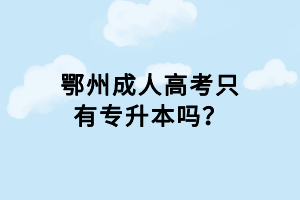 鄂州成人高考只有專升本嗎？