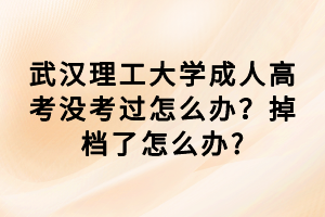 武漢理工大學(xué)成人高考沒考過怎么辦？掉檔了怎么辦_