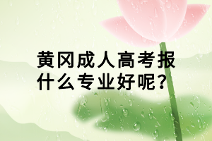 黃岡成人高考報什么專業(yè)好呢？