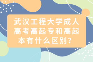 武漢工程大學(xué)成人高考高起專和高起本有什么區(qū)別？