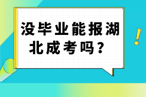 沒畢業(yè)能報湖北成考嗎？
