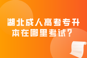 湖北成人高考專升本在哪里考試？