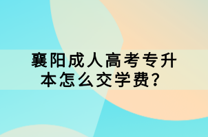 襄陽成人高考專升本怎么交學(xué)費(fèi)？