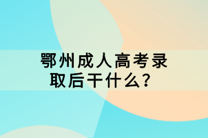 鄂州成人高考錄取后干什么？