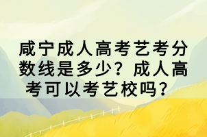 咸寧成人高考藝考分?jǐn)?shù)線是多少？成人高考可以考藝校嗎？