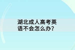 湖北成人高考英語不會怎么辦？