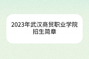 2023年武漢商貿(mào)職業(yè)學院招生簡章