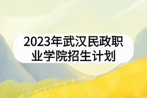 2023年武漢民政職業(yè)學(xué)院招生計(jì)劃