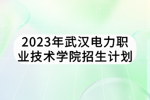 2023年武漢電力職業(yè)技術(shù)學(xué)院招生計(jì)劃