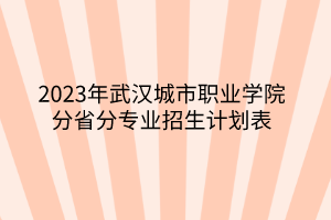 2023年武漢城市職業(yè)學(xué)院分省分專業(yè)招生計(jì)劃表