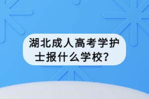 湖北成人高考學護士報什么學校？