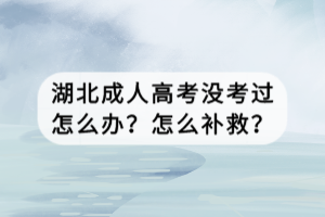 湖北成人高考沒考過怎么辦？怎么補(bǔ)救？