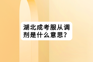 湖北成考服從調(diào)劑是什么意思？