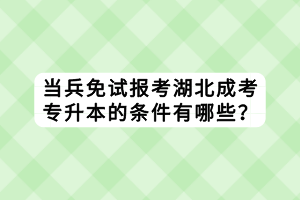 當兵免試報考湖北成考專升本的條件有哪些？