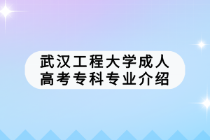 武漢工程大學(xué)成人高考?？茖I(yè)介紹