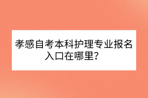 孝感自考本科護理專業(yè)報名入口在哪里？