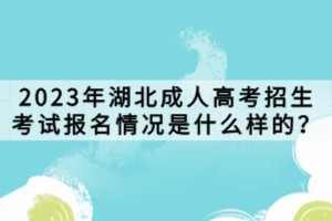 2023年湖北成人高考招生考試報名情況是什么樣的？