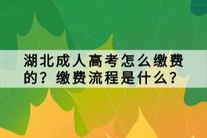 湖北成人高考怎么繳費的？繳費流程是什么？