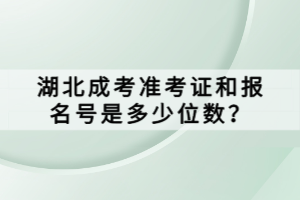 湖北成考準(zhǔn)考證和報(bào)名號(hào)是多少位數(shù)？ (1)