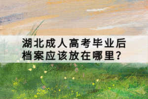 湖北成人高考畢業(yè)后檔案應(yīng)該放在哪里？