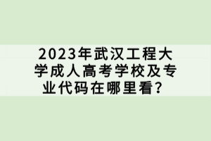 2023年武漢工程大學(xué)成人高考學(xué)校及專業(yè)代碼在哪里看？