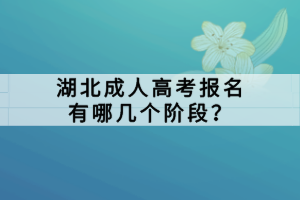 湖北成人高考報(bào)名有哪幾個(gè)階段？