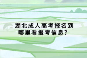 湖北成人高考報名到哪里看報考信息？