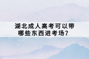 湖北成人高考可以帶哪些東西進考場？