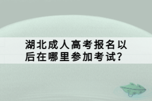 湖北成人高考報名以后在哪里參加考試？