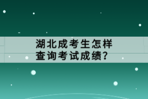 湖北成考生怎樣查詢考試成績(jī)？