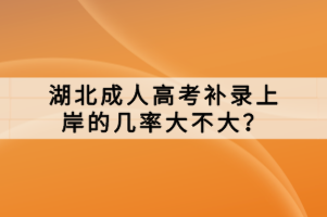 湖北成人高考補(bǔ)錄上岸的幾率大不大？