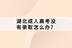 湖北成人高考沒(méi)有錄取怎么辦？