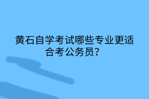 黃石自學(xué)考試哪些專業(yè)更適合考公務(wù)員？