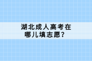 湖北成人高考在哪兒填志愿？