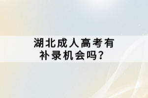 湖北成人高考有補錄機會嗎？