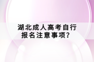 湖北成人高考自行報(bào)名注意事項(xiàng)？