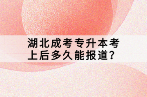 湖北成考專升本考上后多久能報道？