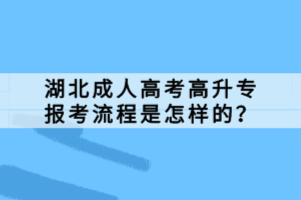 湖北成人高考高升專報(bào)考流程是怎樣的？