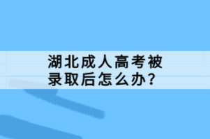 湖北成人高考被錄取后怎么辦？