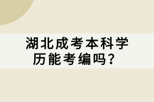 湖北成考本科學(xué)歷能考編嗎？