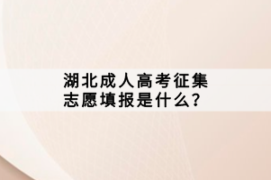 湖北成人高考征集志愿填報是什么？