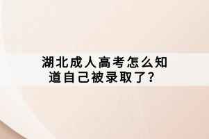 湖北成人高考怎么知道自己被錄取了？